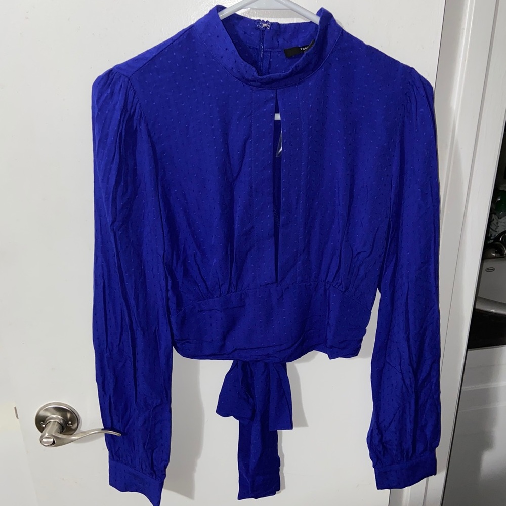 Forever 21 Blue Long Sleeve Crop Top